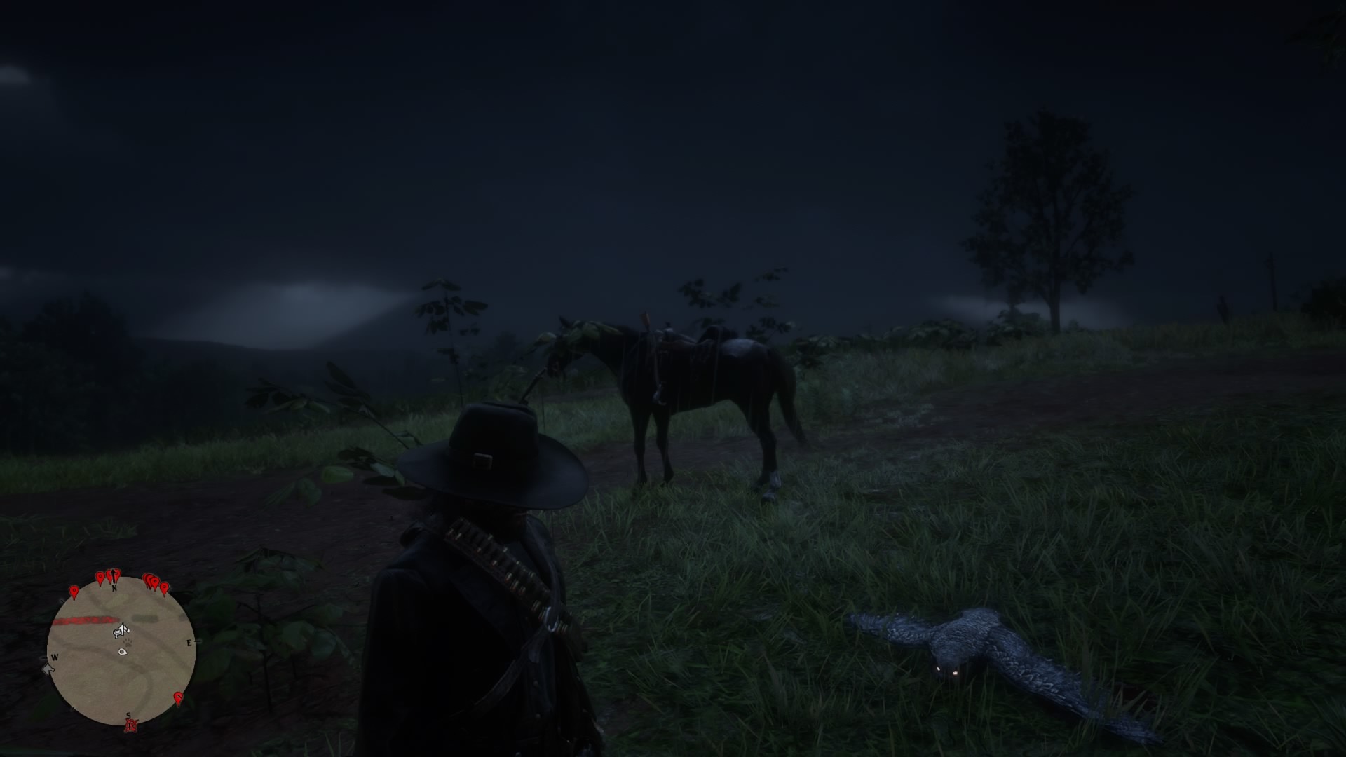 Dead Owl with Glowing Eyes